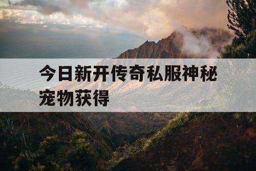 今日新开传奇私服神秘宠物获得