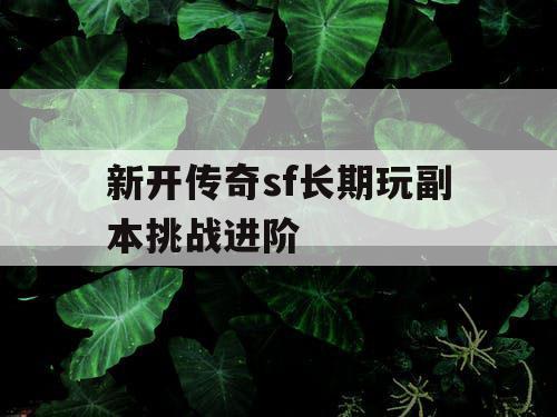 新开传奇sf长期玩副本挑战进阶