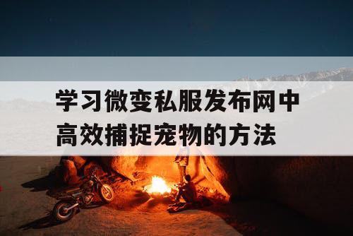 学习微变私服发布网中高效捕捉宠物的方法