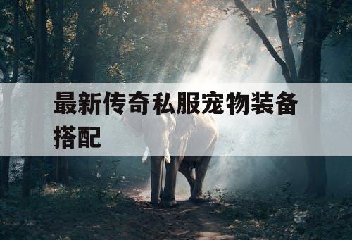 最新传奇私服宠物装备搭配