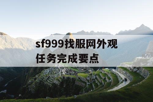 sf999找服网外观任务完成要点