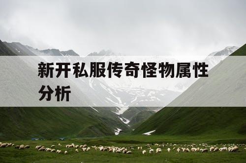新开私服传奇怪物属性分析
