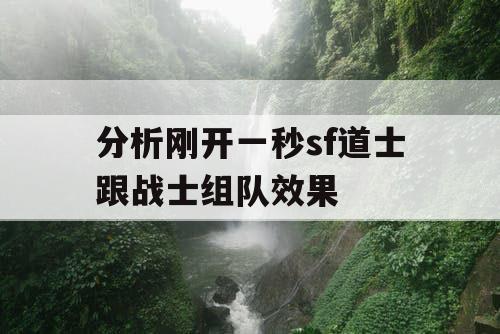 分析刚开一秒sf道士跟战士组队效果