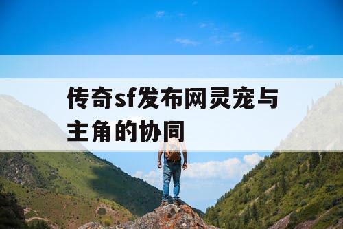 传奇sf发布网灵宠与主角的协同