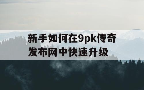 新手如何在9pk传奇发布网中快速升级