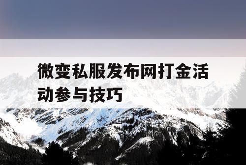 微变私服发布网打金活动参与技巧