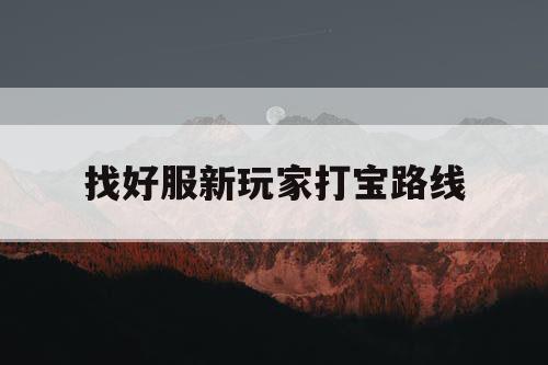 找好服新玩家打宝路线