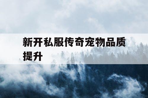 新开私服传奇宠物品质提升
