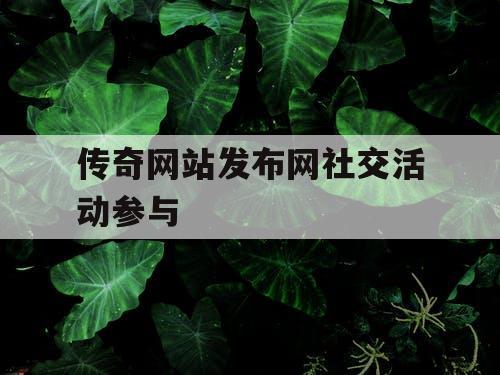 传奇网站发布网社交活动参与