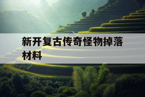新开复古传奇怪物掉落材料