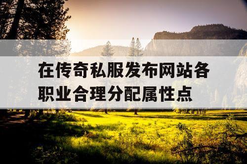 在传奇私服发布网站各职业合理分配属性点