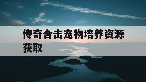 传奇合击宠物培养资源获取