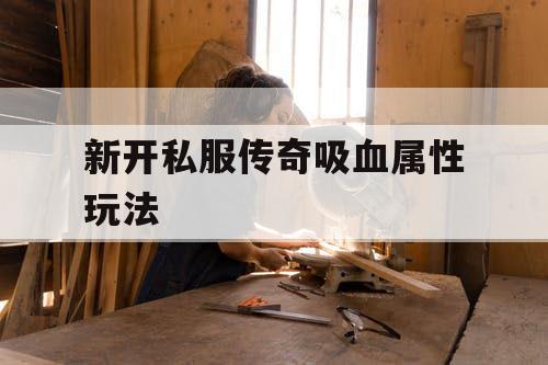 新开私服传奇吸血属性玩法
