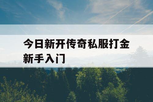 今日新开传奇私服打金新手入门