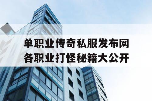 单职业传奇私服发布网各职业打怪秘籍大公开