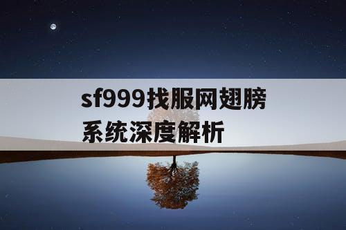 sf999找服网翅膀系统深度解析