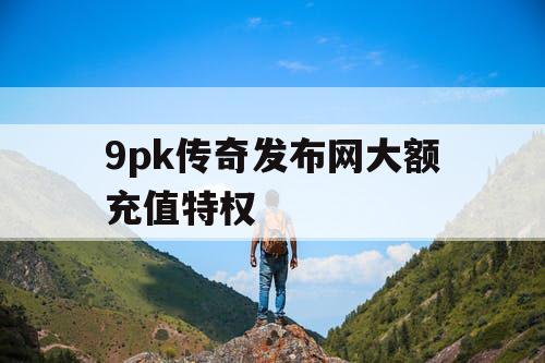 9pk传奇发布网大额充值特权
