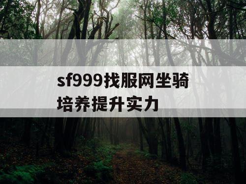 sf999找服网坐骑培养提升实力