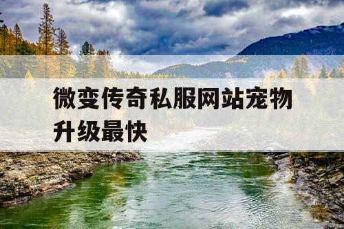微变传奇私服网站宠物升级最快