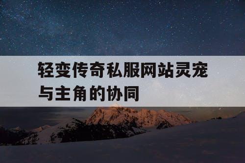 轻变传奇私服网站灵宠与主角的协同