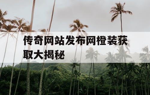 传奇网站发布网橙装获取大揭秘