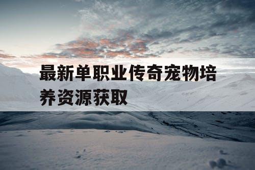 最新单职业传奇宠物培养资源获取