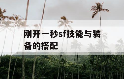 刚开一秒sf技能与装备的搭配