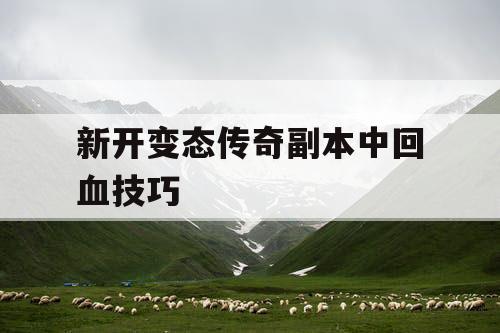 新开变态传奇副本中回血技巧
