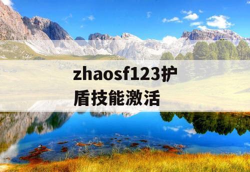 zhaosf123护盾技能激活