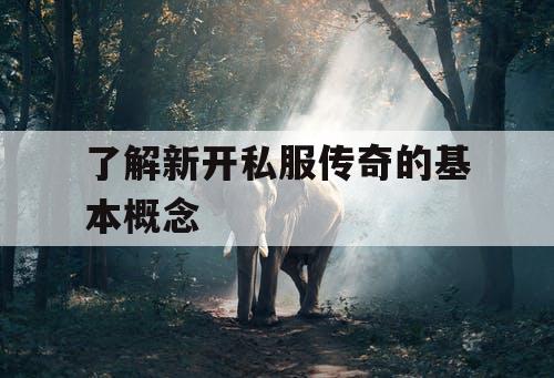 了解新开私服传奇的基本概念