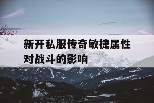 新开私服传奇敏捷属性对战斗的影响