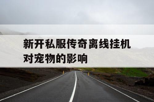 新开私服传奇离线挂机对宠物的影响