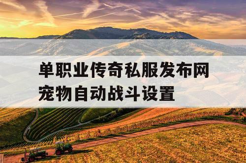 单职业传奇私服发布网宠物自动战斗设置