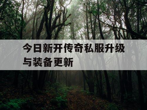 今日新开传奇私服升级与装备更新