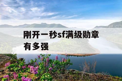 刚开一秒sf满级勋章有多强
