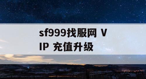 sf999找服网 VIP 充值升级