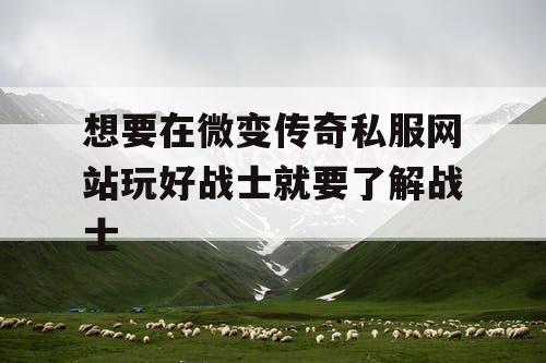 想要在微变传奇私服网站玩好战士就要了解战士