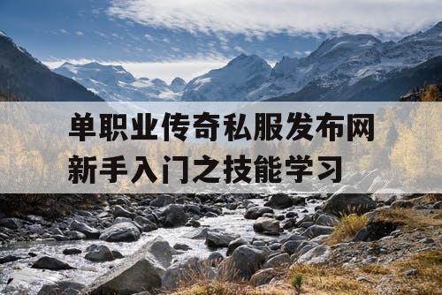 单职业传奇私服发布网新手入门之技能学习