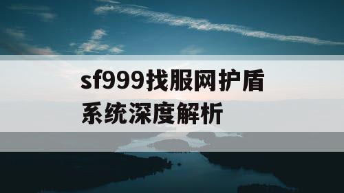 sf999找服网护盾系统深度解析