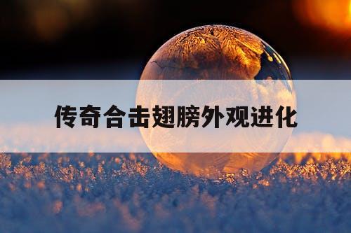 传奇合击翅膀外观进化