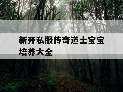 新开私服传奇道士宝宝培养大全