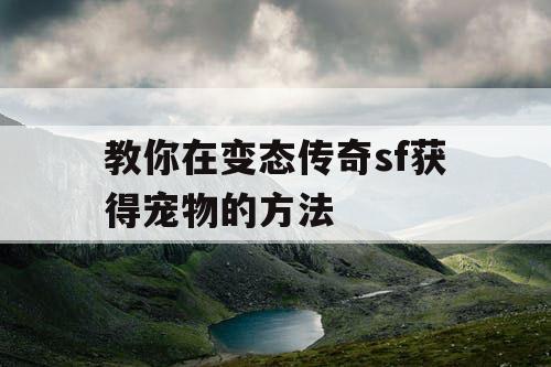 教你在变态传奇sf获得宠物的方法