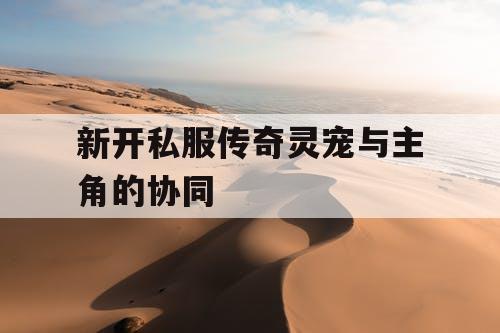 新开私服传奇灵宠与主角的协同