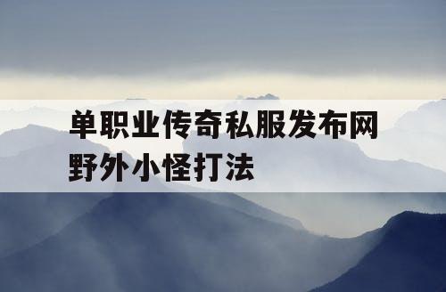 单职业传奇私服发布网野外小怪打法